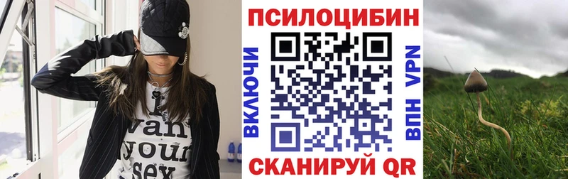 Псилоцибиновые грибы ЛСД  Купить где  Приозерск 